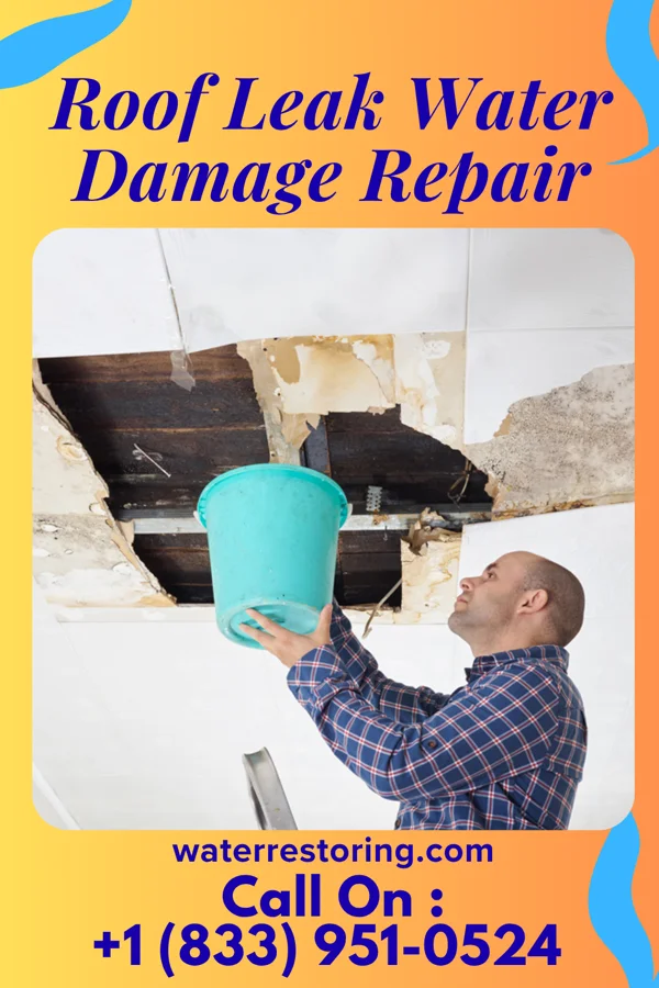 Roof Leak Water Damage Repair in Rancho Mission Viejo, CA